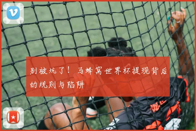 别被坑了！马蜂窝世界杯提现背后的规则与陷阱