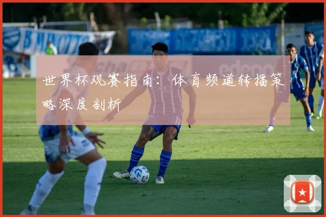世界杯观赛指南:体育频道转播策略深度剖析