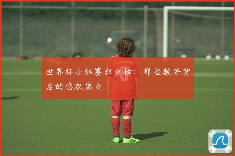 世界杯小组赛积分榜：那些数字背后的悲欢离合