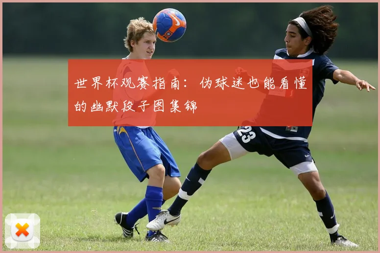 世界杯观赛指南:伪球迷也能看懂的幽默段子图集锦