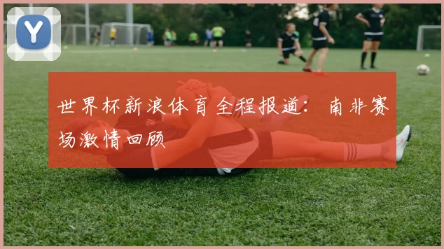 世界杯新浪体育全程报道：南非赛场激情回顾