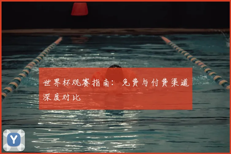 世界杯观赛指南：免费与付费渠道深度对比