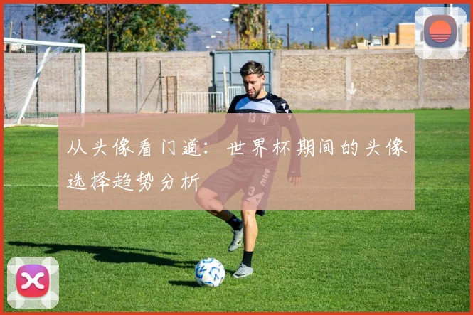 从头像看门道:世界杯期间的头像选择趋势分析