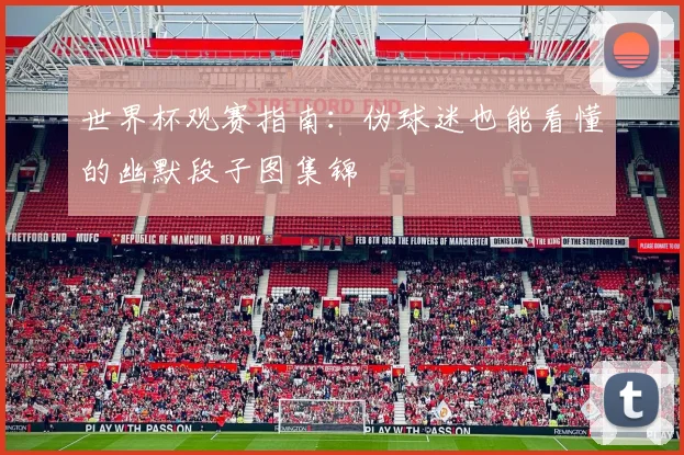 世界杯观赛指南：伪球迷也能看懂的幽默段子图集锦