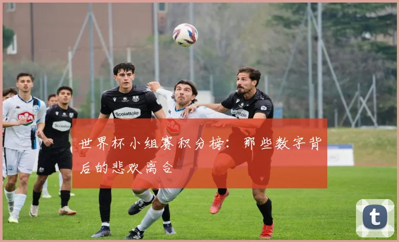 世界杯小组赛积分榜：那些数字背后的悲欢离合
