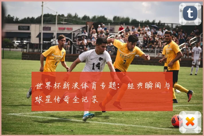 世界杯新浪体育专题：经典瞬间与球星传奇全记录